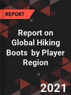 Hiking Boots Market