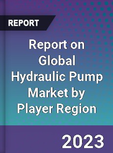 Report on Global Hydraulic Pump Market by Player Region