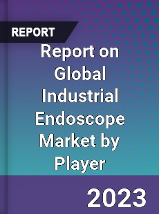 Report on Global Industrial Endoscope Market by Player