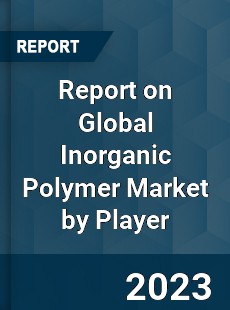 Report on Global Inorganic Polymer Market by Player