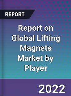 Report on Global Lifting Magnets Market by Player