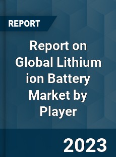 Report on Global Lithium ion Battery Market by Player