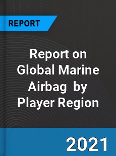 Report on Global Marine Airbag Market by Player Region