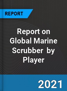 Report on Global Marine Scrubber Market by Player