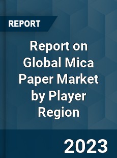 Report on Global Mica Paper Market by Player Region