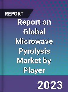 Report on Global Microwave Pyrolysis Market by Player