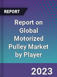 Report on Global Motorized Pulley Market by Player