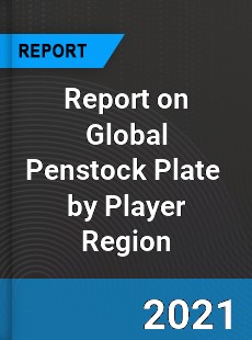 Report on Global Penstock Plate Market by Player Region