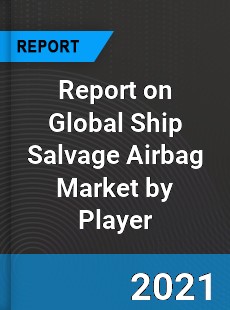 Report on Global Ship Salvage Airbag Market by Player