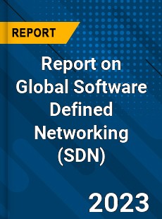 Report on Global Software Defined Networking