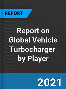 Report on Global Vehicle Turbocharger Market by Player