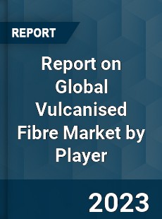 Report on Global Vulcanised Fibre Market by Player