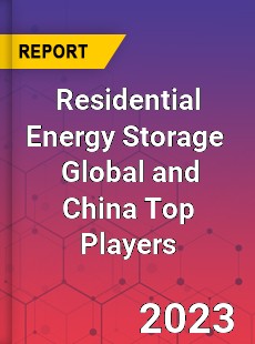 Residential Energy Storage Global and China Top Players Market