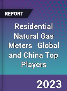 Residential Natural Gas Meters Global and China Top Players Market