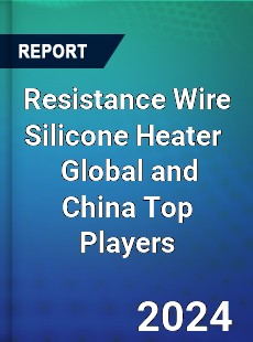 Resistance Wire Silicone Heater Global and China Top Players Market