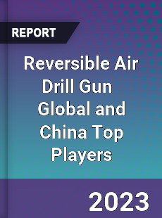 Reversible Air Drill Gun Global and China Top Players Market