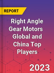 Right Angle Gear Motors Global and China Top Players Market