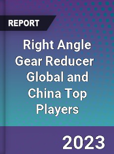 Right Angle Gear Reducer Global and China Top Players Market