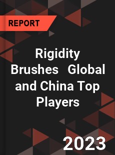 Rigidity Brushes Global and China Top Players Market