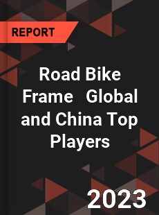 Road Bike Frame Global and China Top Players Market