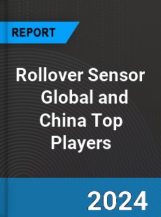 Rollover Sensor Global and China Top Players Market