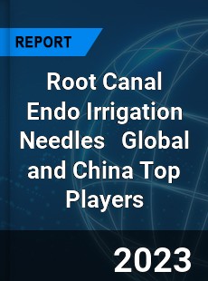 Root Canal Endo Irrigation Needles Global and China Top Players Market