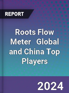 Roots Flow Meter Global and China Top Players Market