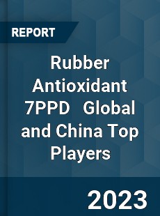 Rubber Antioxidant 7PPD Global and China Top Players Market