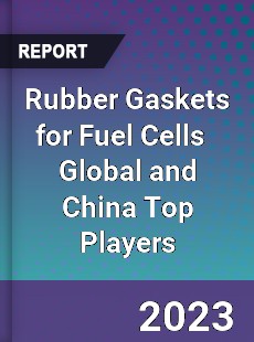 Rubber Gaskets for Fuel Cells Global and China Top Players Market