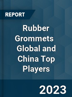 Rubber Grommets Global and China Top Players Market