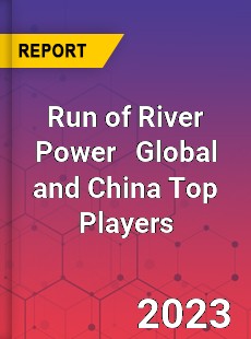 Run of River Power Global and China Top Players Market