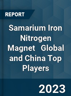 Samarium Iron Nitrogen Magnet Global and China Top Players Market