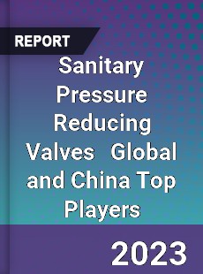 Sanitary Pressure Reducing Valves Global and China Top Players Market