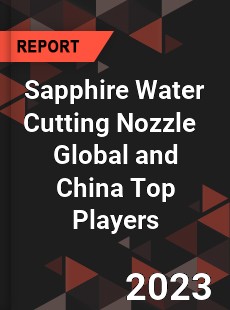 Sapphire Water Cutting Nozzle Global and China Top Players Market