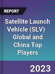 Satellite Launch Vehicle Global and China Top Players Market