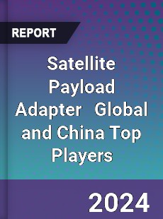 Satellite Payload Adapter Global and China Top Players Market