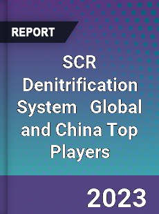 SCR Denitrification System Global and China Top Players Market