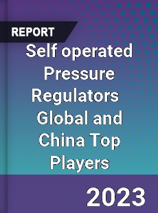 Self operated Pressure Regulators Global and China Top Players Market