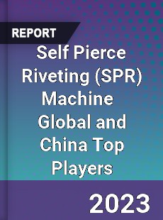 Self Pierce Riveting Machine Global and China Top Players Market