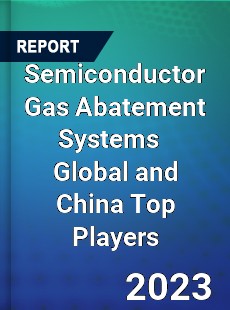 Semiconductor Gas Abatement Systems Global and China Top Players Market