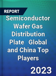 Semiconductor Wafer Gas Distribution Plate Global and China Top Players Market