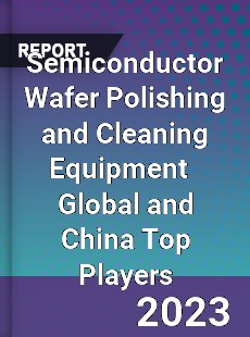 Semiconductor Wafer Polishing and Cleaning Equipment Global and China Top Players Market