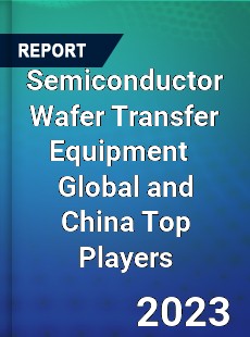 Semiconductor Wafer Transfer Equipment Global and China Top Players Market