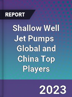 Shallow Well Jet Pumps Global and China Top Players Market