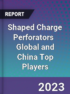 Shaped Charge Perforators Global and China Top Players Market