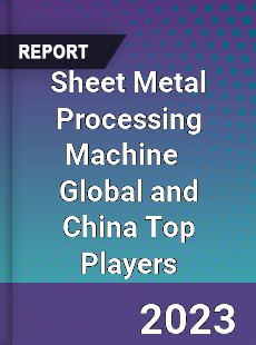 Sheet Metal Processing Machine Global and China Top Players Market