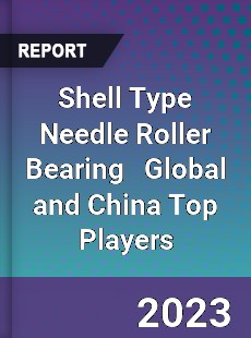 Shell Type Needle Roller Bearing Global and China Top Players Market