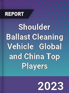 Shoulder Ballast Cleaning Vehicle Global and China Top Players Market