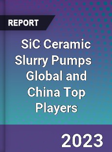 SiC Ceramic Slurry Pumps Global and China Top Players Market