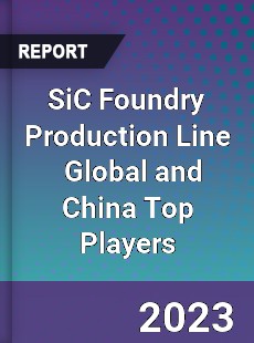 SiC Foundry Production Line Global and China Top Players Market